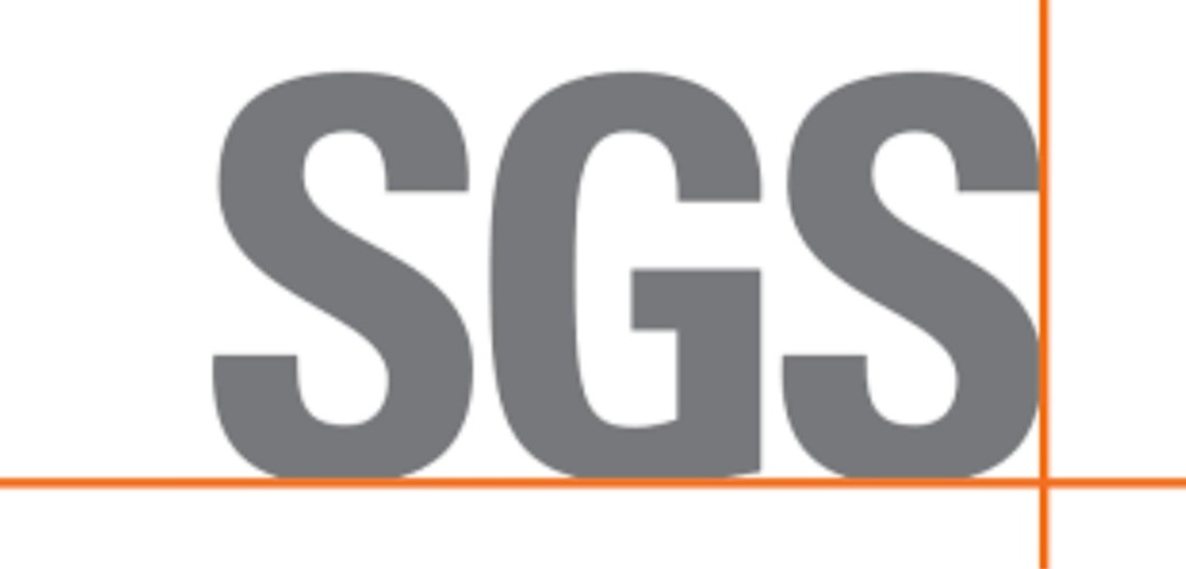 SGS Terminology 4