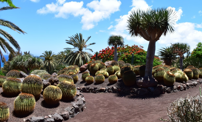 Oasis Park Fuerteventura