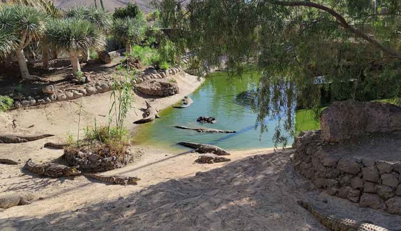 Oasis Park Fuerteventura